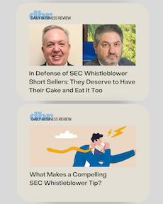 What Makes a Compelling SEC Whistleblower Tip?